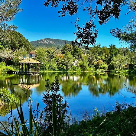 شقة Les Restanques Pressoir 3029