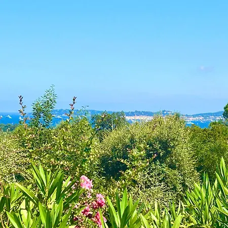 Les Restanques Pressoir 3029 Grimaud