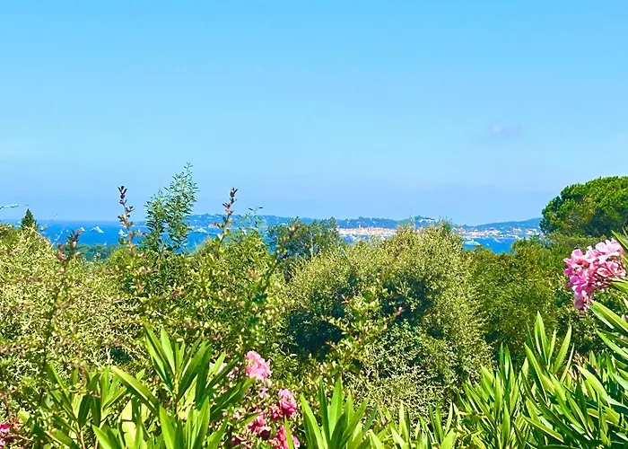 Les Restanques Pressoir 3029 Grimaud